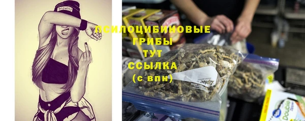 COCAINE Няндома