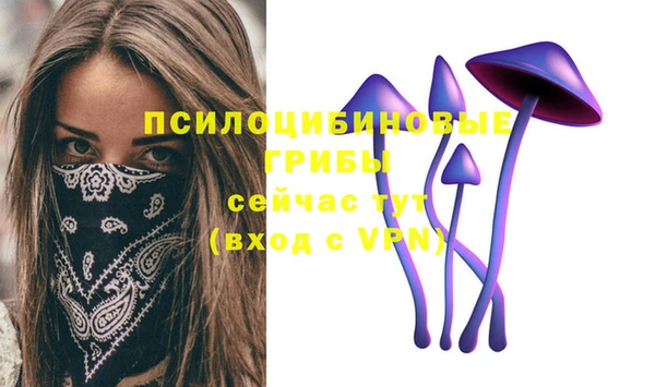 кокс Алзамай