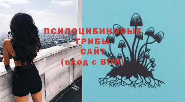 a pvp Нязепетровск