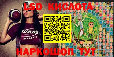 гидра Боровичи