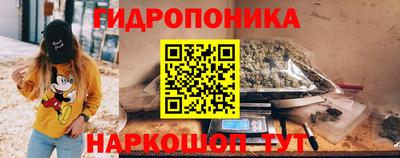 гидра Боровичи