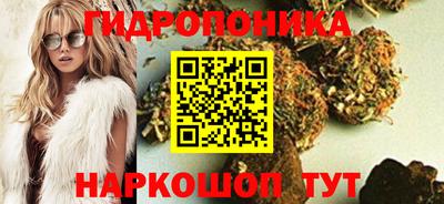 гидра Боровичи