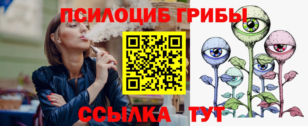 Галлюциногенные грибы Psilocybe Балашиха