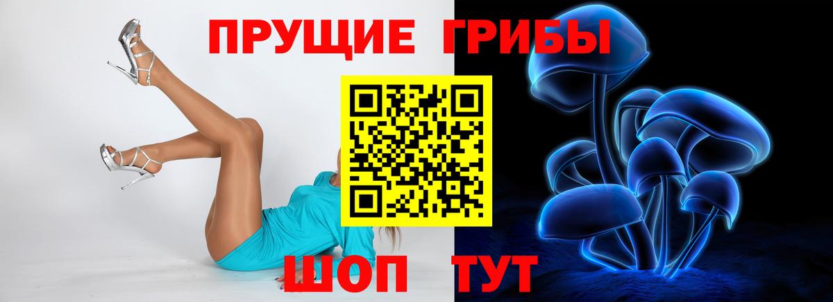 Галлюциногенные грибы GOLDEN TEACHER  Вход с VPN  Псилоцибиновые грибы GOLDEN TEACHER  Балашиха 